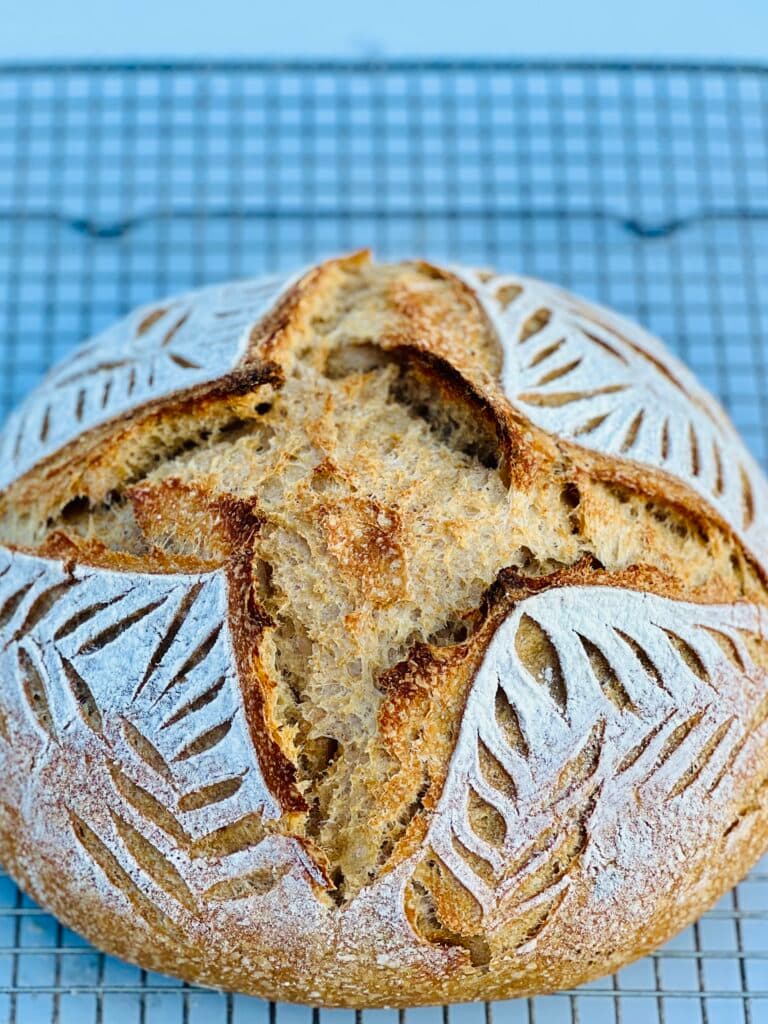 Seeded Sourdough Loaf