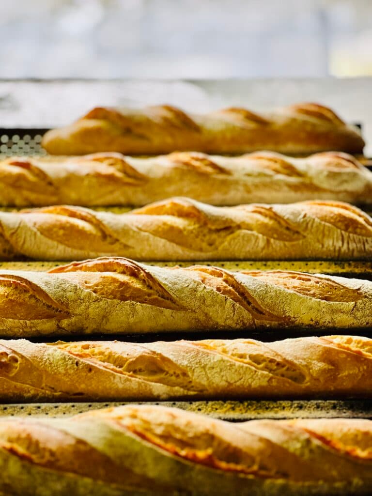 Freshly Baked