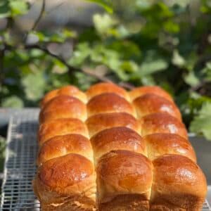 Sourdough Brioche Sliders