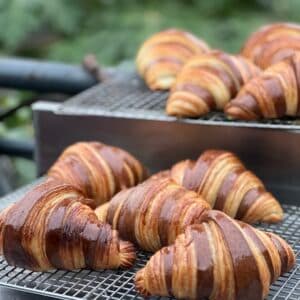 Sourdough Croissant Standard