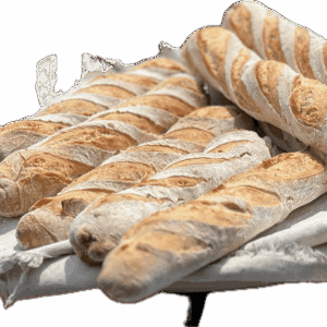 Sourdough Baguette