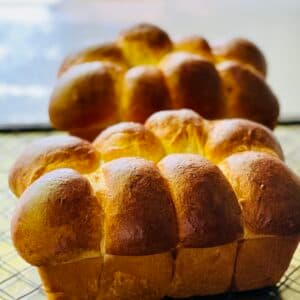 Sourdough Chocolate Brioche