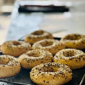 Sourdough Everything Bagels