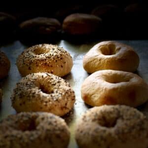 Sourdough Oatmeal Bagels