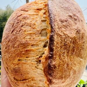 Whole Wheat Sourdough
